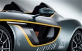 2013 Aston Martin CC100 Speed​​ster concept 阿斯頓·馬丁CC100概念車高清壁紙 #11