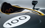 2013 Aston Martin CC100 Speed​​ster concept 阿斯頓·馬丁CC100概念車高清壁紙 #18
