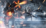 Battlefield 4 战地4 高清壁纸7