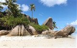 Seychely Ostrov terén HD tapety na plochu #2
