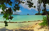 Seychely Ostrov terén HD tapety na plochu #7