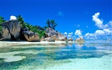Seychely Ostrov terén HD tapety na plochu #11