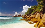Seychelles Island nature landscape HD wallpapers #15