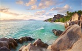 Seychely Ostrov terén HD tapety na plochu #17