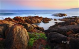 Microsoft Bing Thema HD Wallpaper, Australien, Stadt, Landschaft, Tiere #7