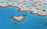 Microsoft Bing thème fonds d'écran HD, l'Australie, ville, paysage, animaux #12