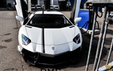 2013 Lamborghini Aventador LP900 SV Limited Edition HD Wallpaper #3