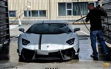 2013 Lamborghini Aventador LP900 SV Limited Edition HD обои #7