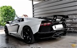 2013 Lamborghini Aventador LP900 SV Limited Edition HD обои #8