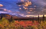 Denali National Park 丹那利国家公园 高清风景壁纸6