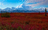 Parque Nacional Denali HD fondos de pantalla paisaje #7