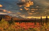 Parque Nacional Denali HD fondos de pantalla paisaje #8