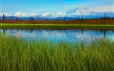Parque Nacional Denali HD fondos de pantalla paisaje #11