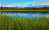 Denali National Park Landschaft HD Wallpaper #11