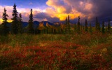 Parque Nacional Denali HD fondos de pantalla paisaje #12