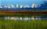 Parque Nacional Denali HD fondos de pantalla paisaje #14