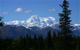 Denali National Park Landschaft HD Wallpaper #17