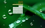 2013年8月 月历壁纸(一)14