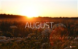 August 2013 calendar wallpaper (2) #2