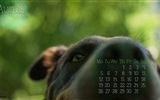 August 2013 calendar wallpaper (2) #15