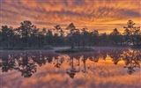 Švédsko sezón přírodní krásy HD tapety na plochu #11