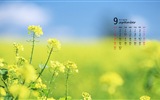 Septembre 2013 Calendar Wallpaper (1) #4