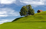 Windows 8 theme wallpaper: Scenic Europe #2