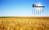 Oktober 2013 Kalender Wallpaper (1) #15