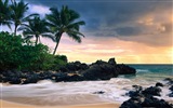 Windows 8 fond d'écran thème: paysage hawaïen #11