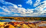 2013 Bing 必应秋季风景、动物、城市高清壁纸