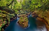 2013 Bing 必应秋季风景、动物、城市高清壁纸2