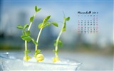 November 2013 Kalender Wallpaper (1) #10