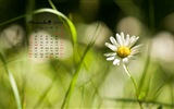 November 2013 Calendar wallpaper (1) #14