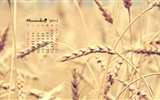 2013年11月 月曆壁紙(一) #16