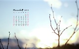 November 2013 Calendar wallpaper (1) #17