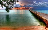 Coast pier at dusk scenery HD wallpaper #3