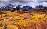 8.1 de Windows Theme HD wallpapers: hermosas hojas de otoño #7