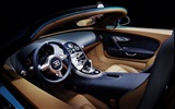 2013 Bugatti Veyron 16.4 Grand Sport Vitesse Supersportwagen HD Wallpaper #7