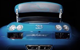 2013 Bugatti Veyron 16.4 Grand Sport Vitesse supercar fondos de pantalla de alta definición #8
