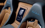 2013 Bugatti Veyron 16.4 Grand Sport Vitesse supercar fondos de pantalla de alta definición #10
