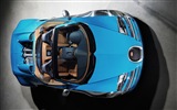 2013 Bugatti Veyron 16.4 Grand Sport Vitesse Supersportwagen HD Wallpaper #11