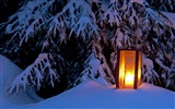 Windows 8 Theme HD Wallpapers: Winterschnee Nacht #2