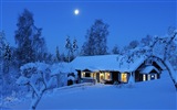 Windowsの8テーマのHD壁紙：冬の雪の夜 #13