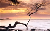 Windows 8 theme wallpaper: Beach sunrise and sunset views #5