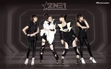 Korean music girls skupina 2NE1 HD tapety na plochu #11