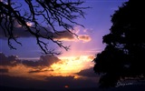 After sunset, Lake Ohrid, Windows 8 theme HD wallpapers #3