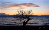 Après le coucher du soleil, le lac d'Ohrid, fonds d'écran Windows 8 thème HD #6