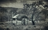 Queensland, Australie, de beaux paysages, fonds d'écran Windows 8 thème HD #19