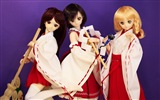 Krásné Super Dollfie hračky dívky HD Tapety na plochu #8