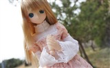 아름다운 슈퍼 Dollfie 장난감 소녀의 HD 배경 화면 #13